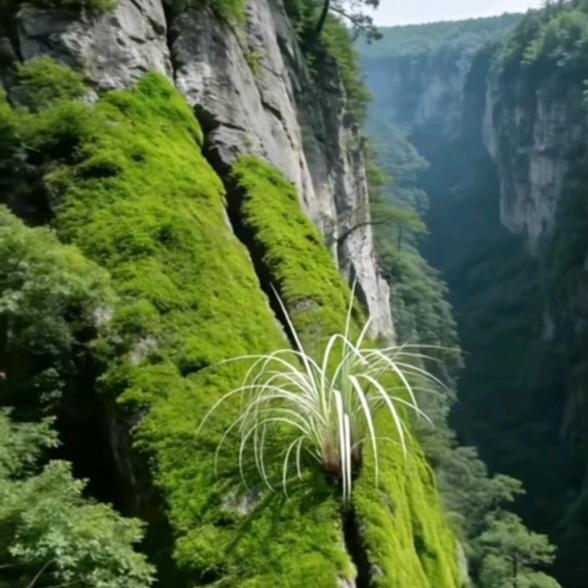 1314.超哥，寻找另一半