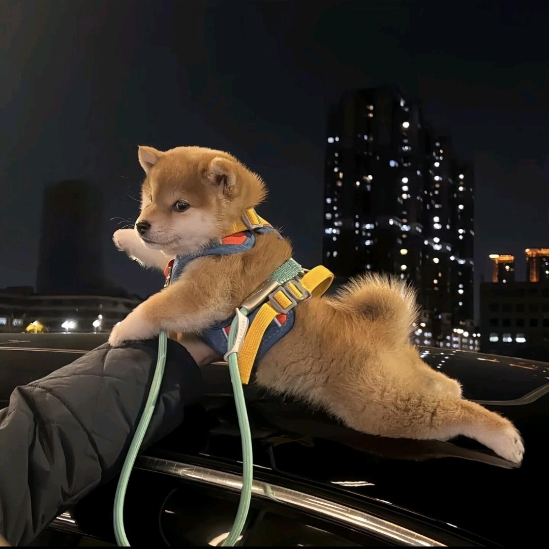 与世无争（封）.