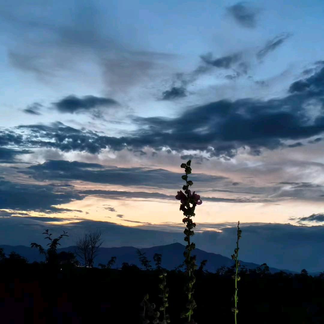 新房村能能娃二🐶（努力涨粉中）