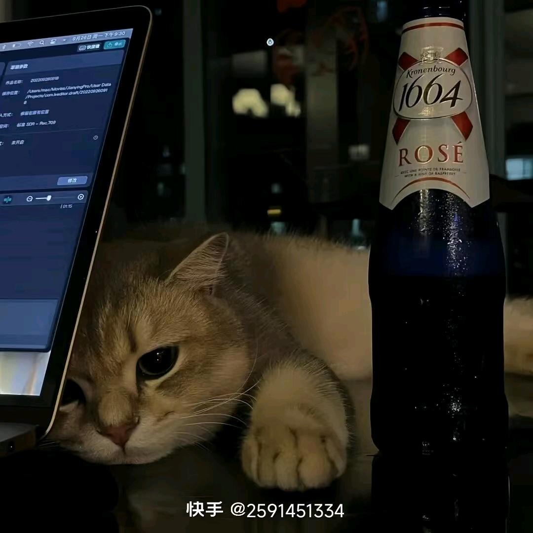 十一月的山