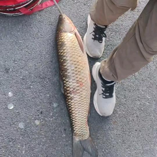 斌  斌