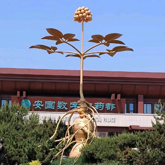 欣姐的本草小店