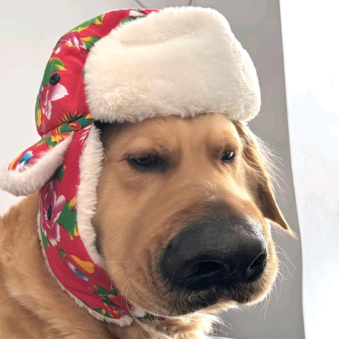 卖核弹的小男孩