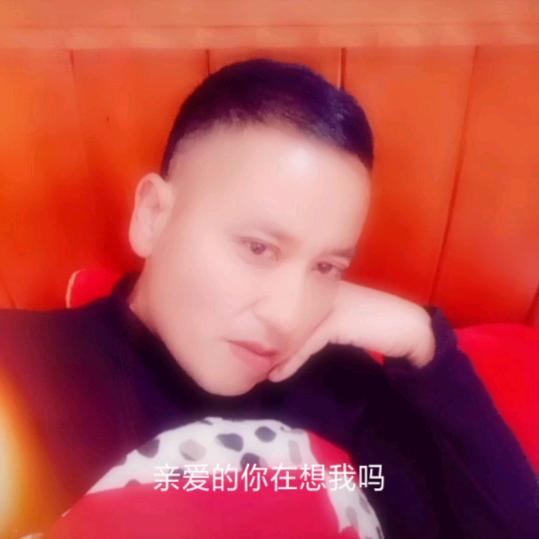 傲天飞翔