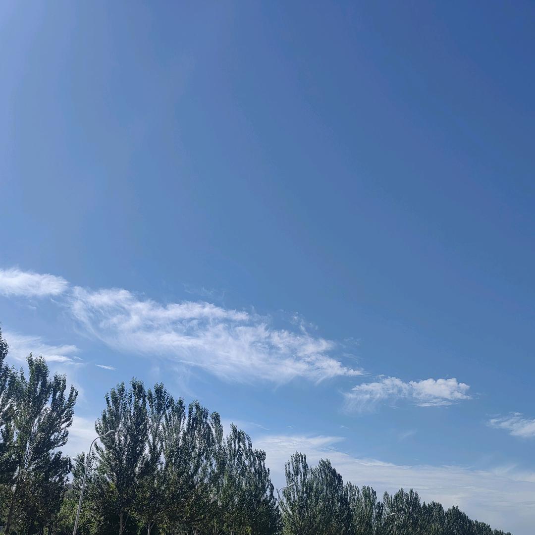 雯雯