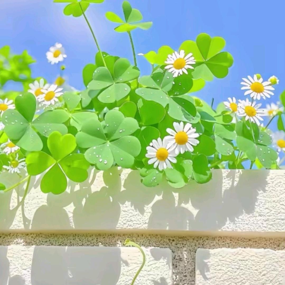 ✨远游
