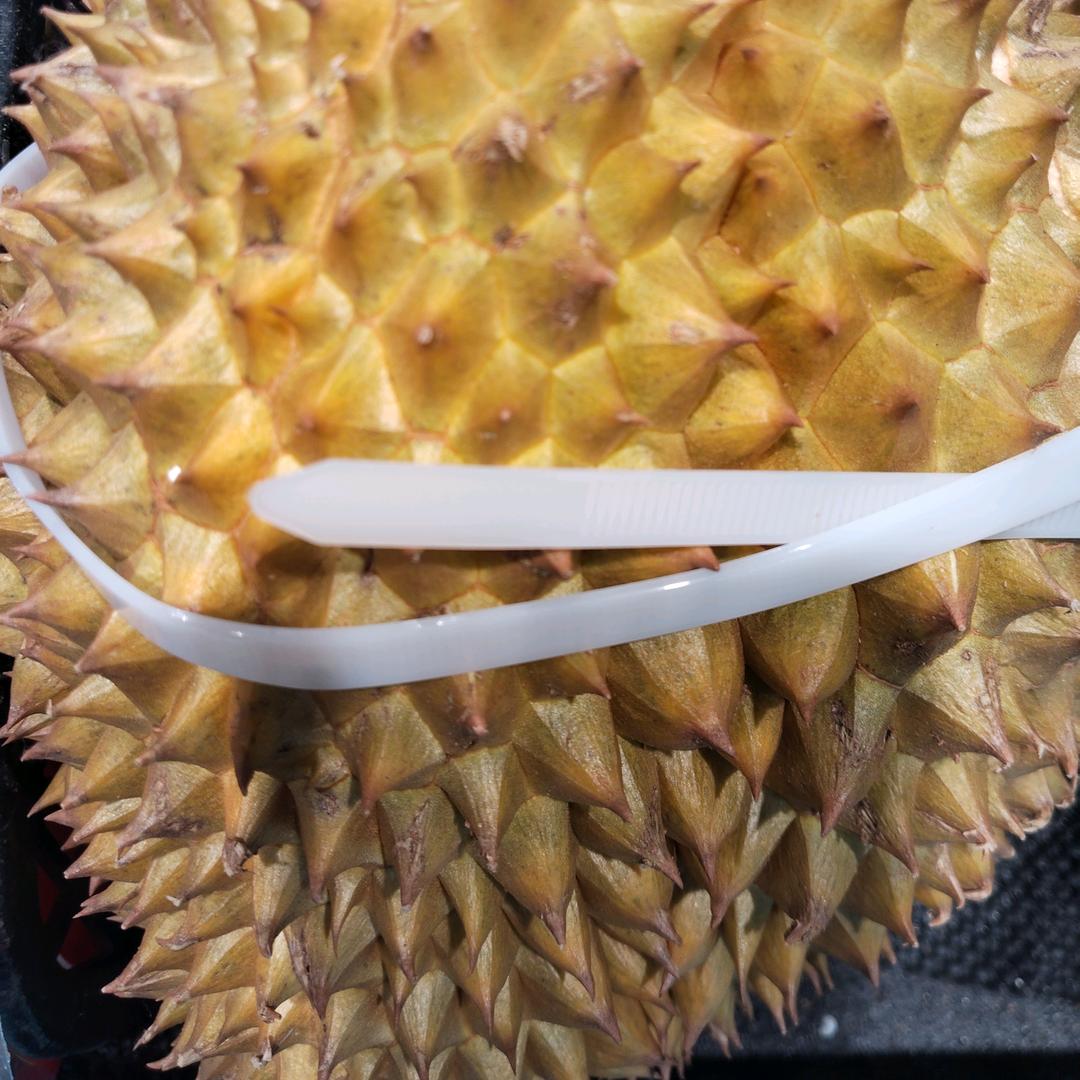 为了生活拼命奋斗