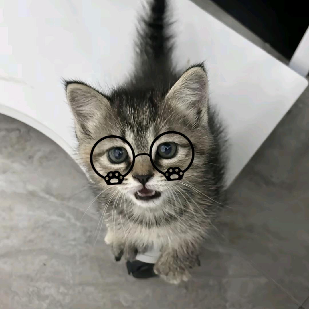 怪怪