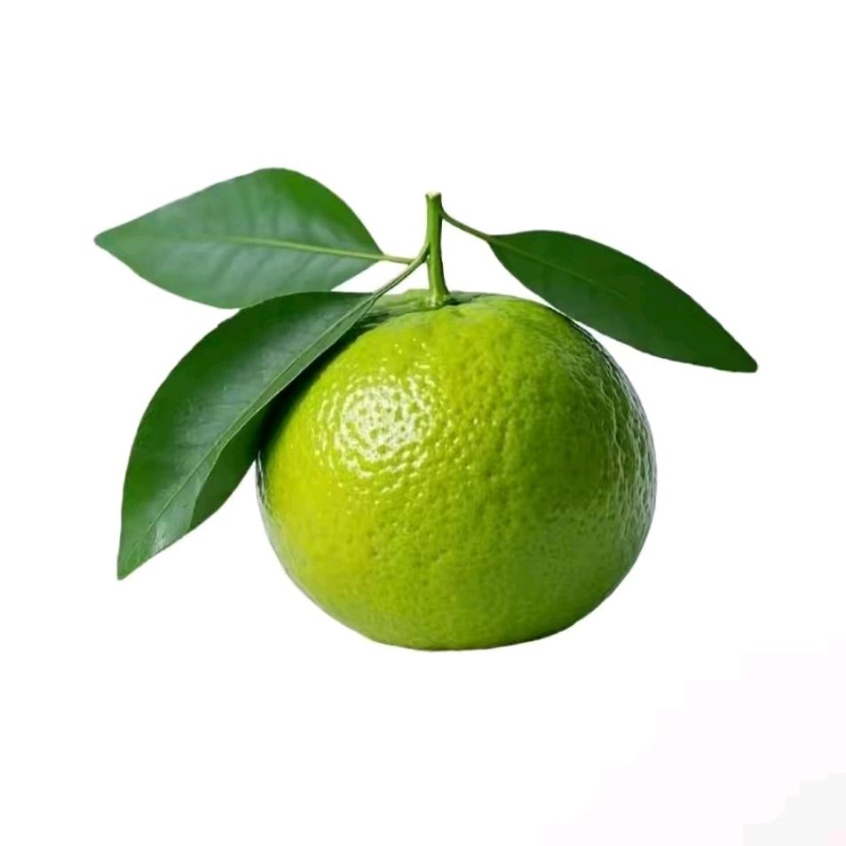 Like kumquat.
