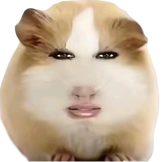 hell    ᐉ随机更新