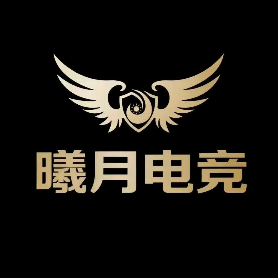 曦月电竞（三角洲）e