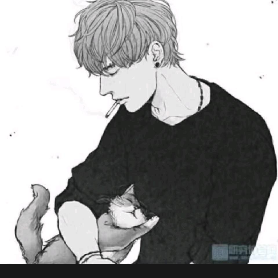 司先生爱玩王者