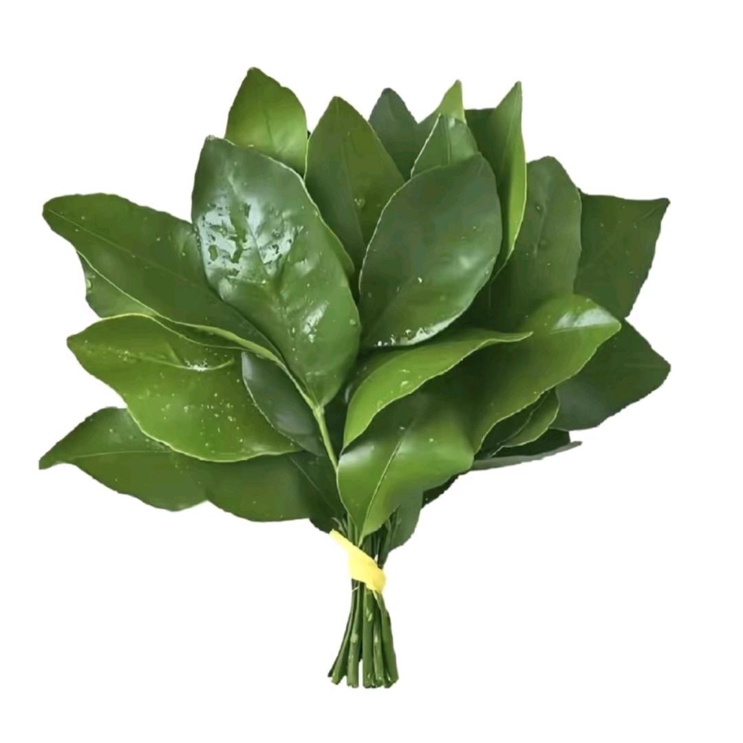 🍂ಢ᭄旺旺仙儿🥀