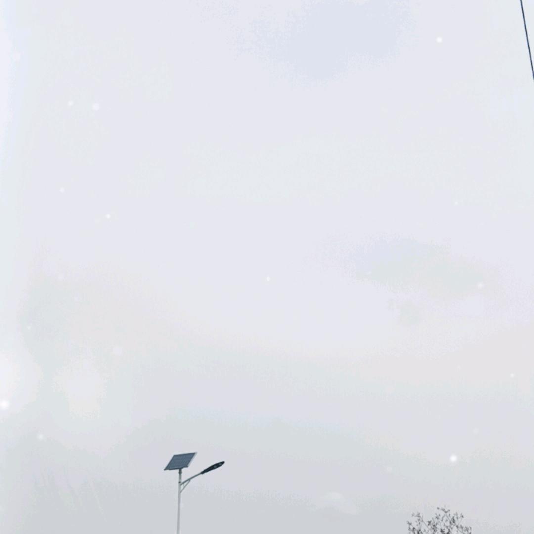 一生最爱的人