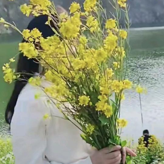 @三都妹吖