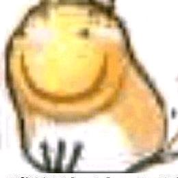 82288248