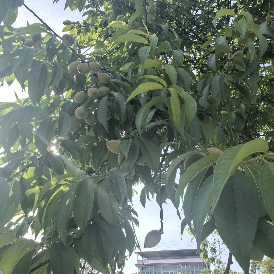 春夏秋冬