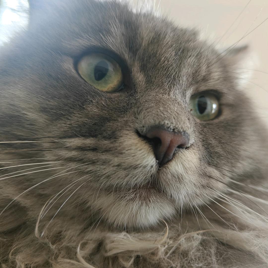 顺其自然
