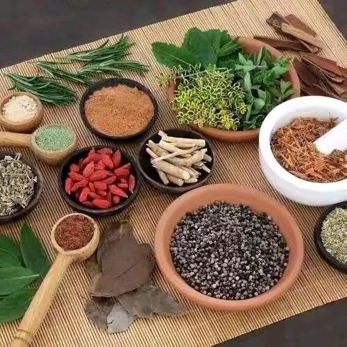 arken好物分享
