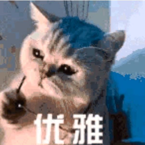 rianbow头像