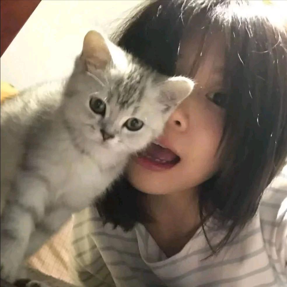 没有圆周的钟