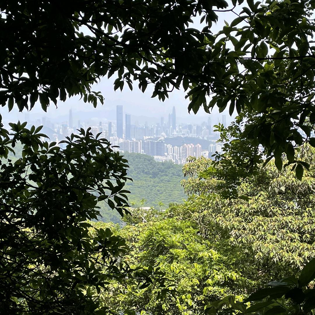 深圳超强台风来了
