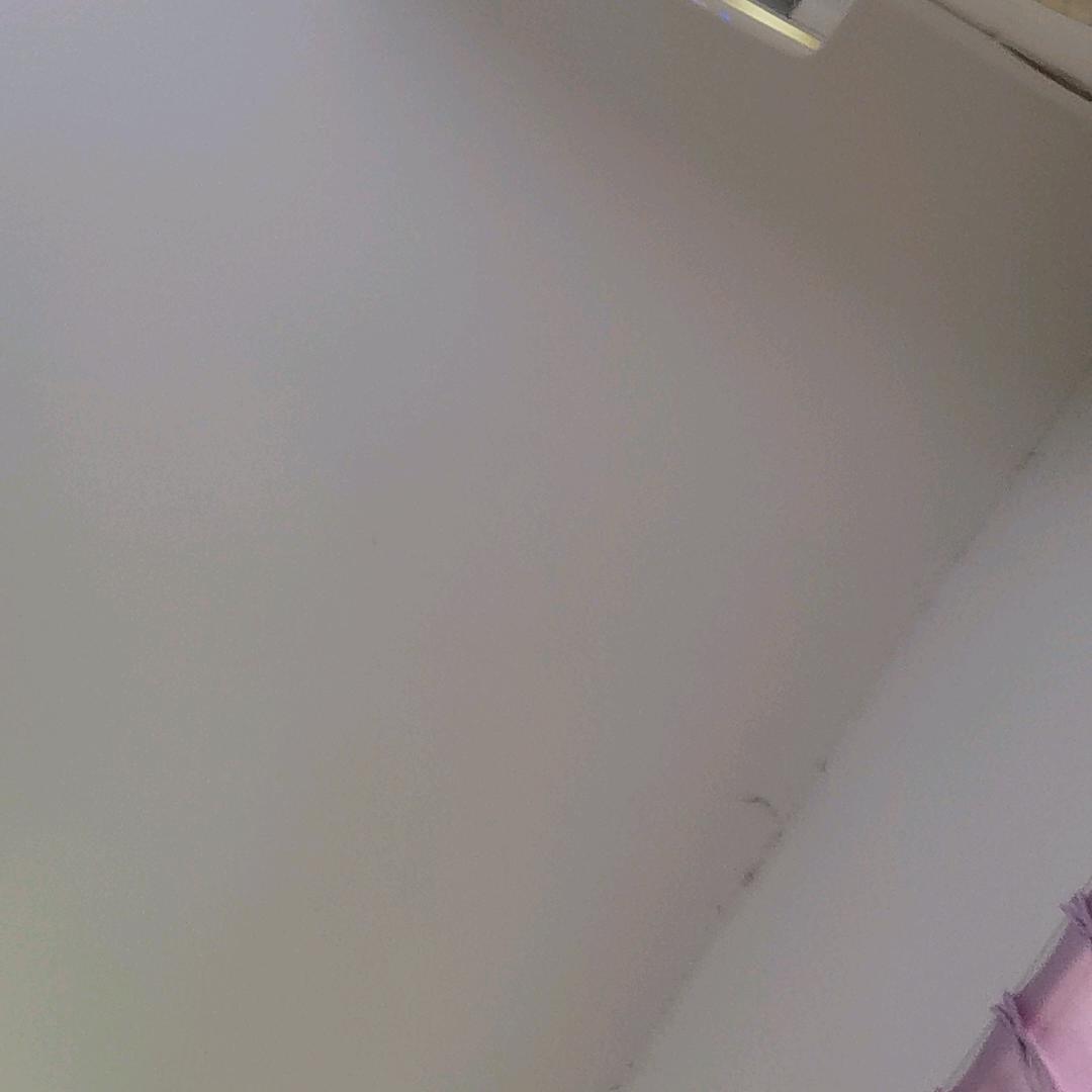 不虚此行