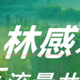 林感水漆全国招商
