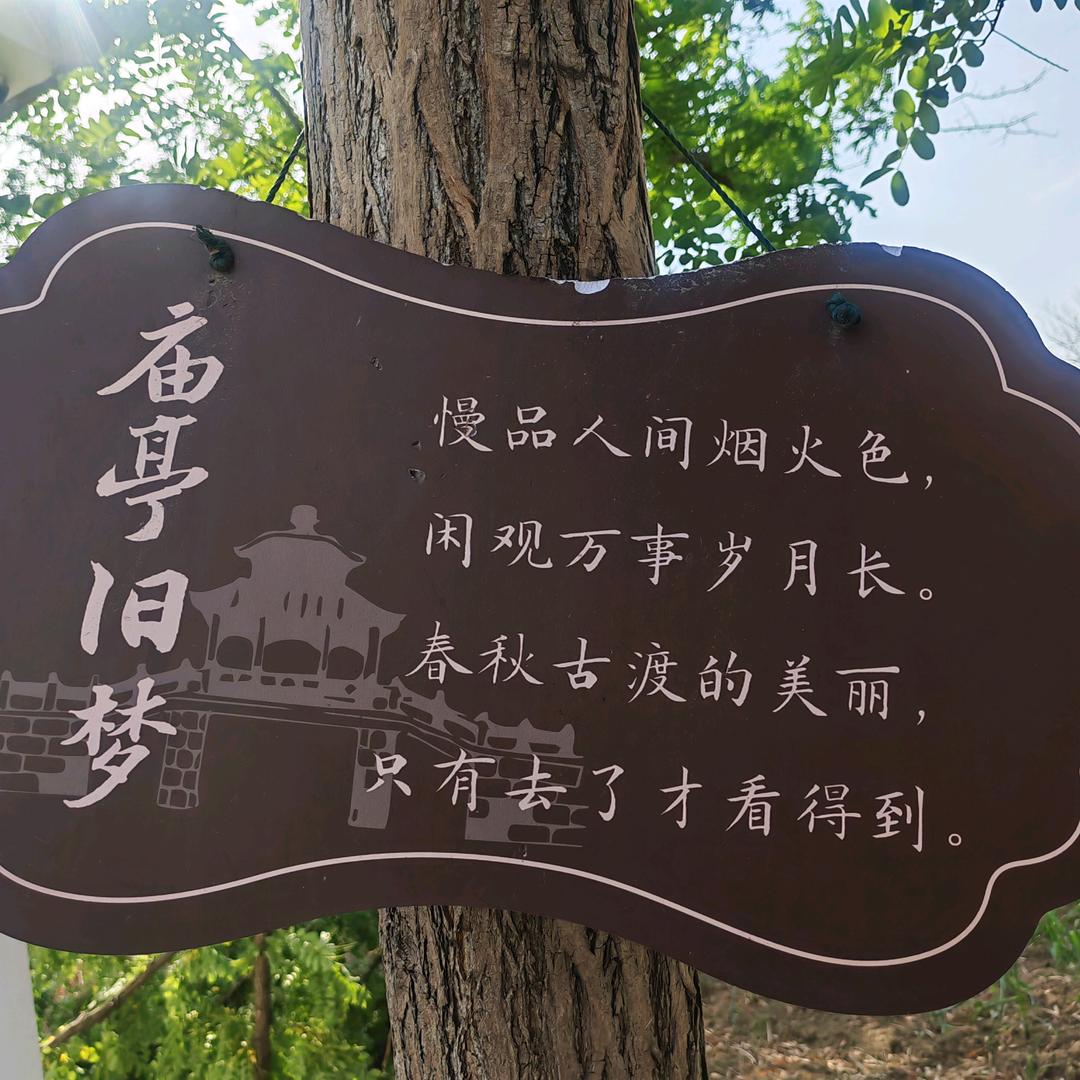 💕୧₍飞揚978🖌🖍🥬