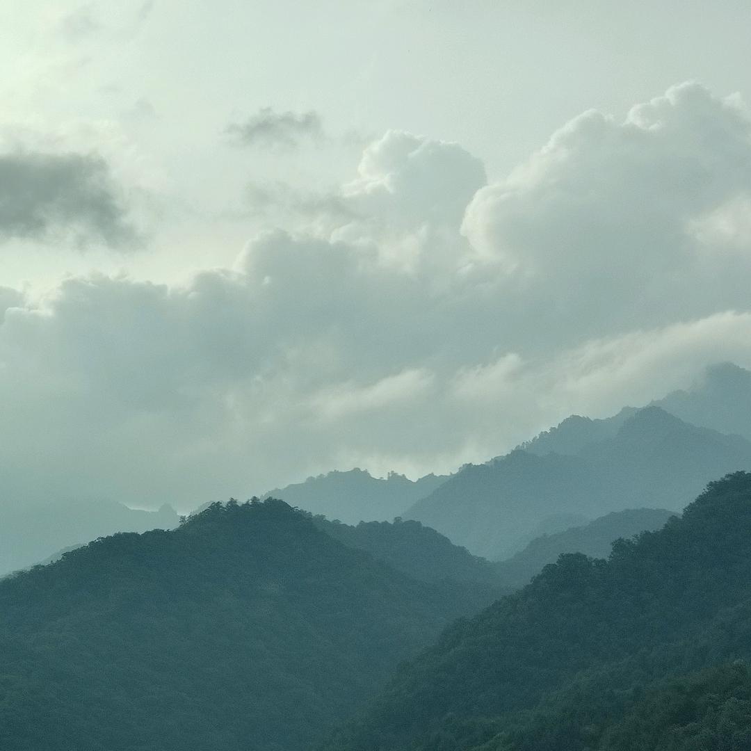 水岸绿洲