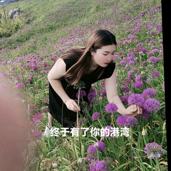 清晨傍晚o