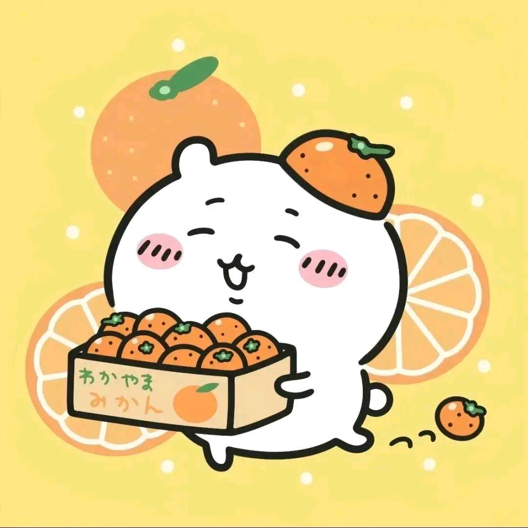 爱吃橙子的小白🍊🍊