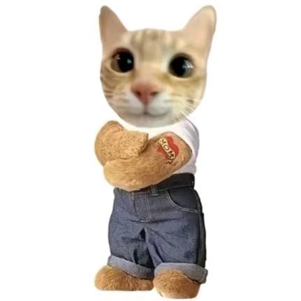 宁的