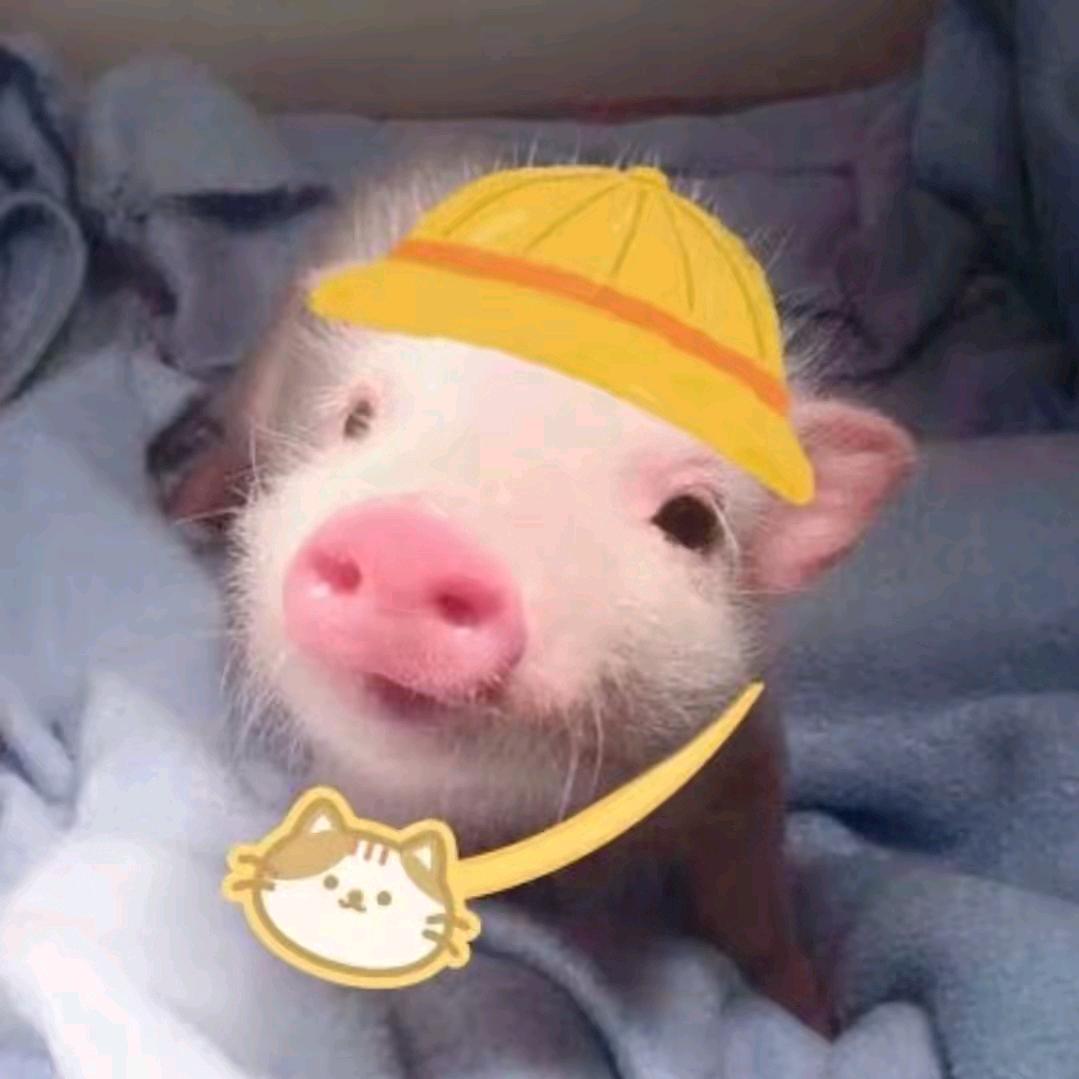 哭泣小猫
