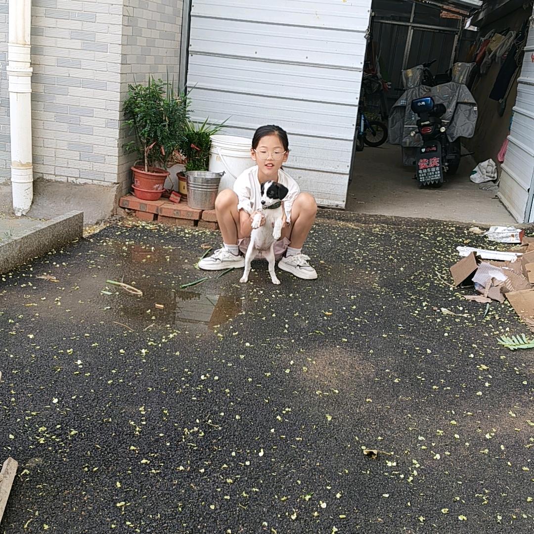 遍地丈母娘