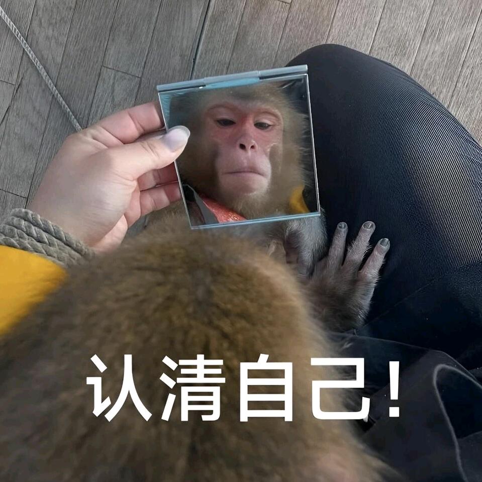 钱作怪梳碧湖砍柴人