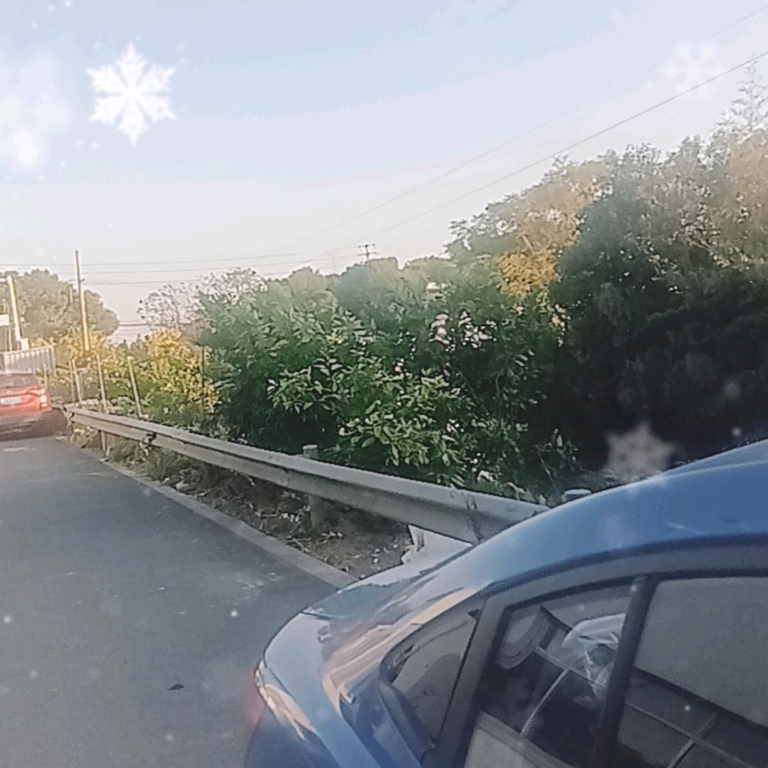 贵在坚持