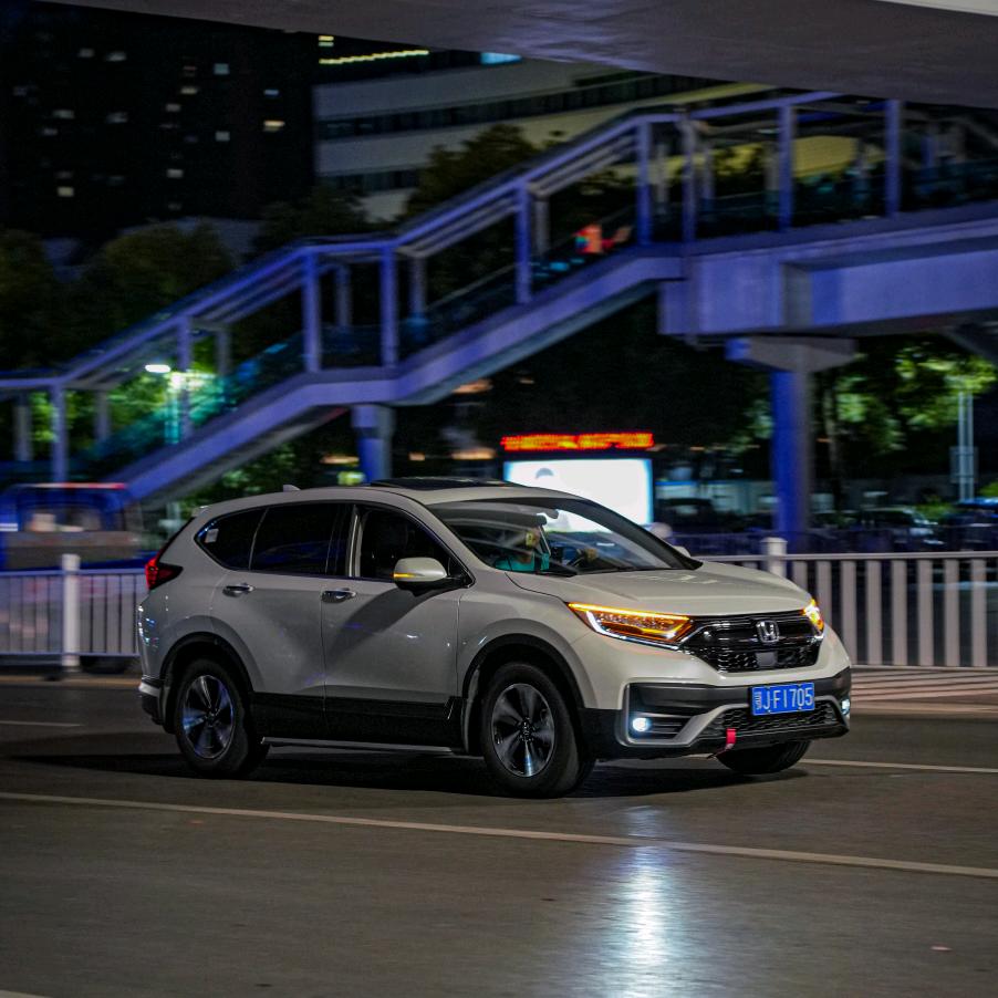 🐾L        Z   ¹⁹⁹⁴