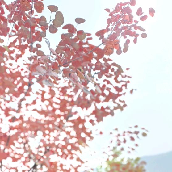 慕慕穿搭