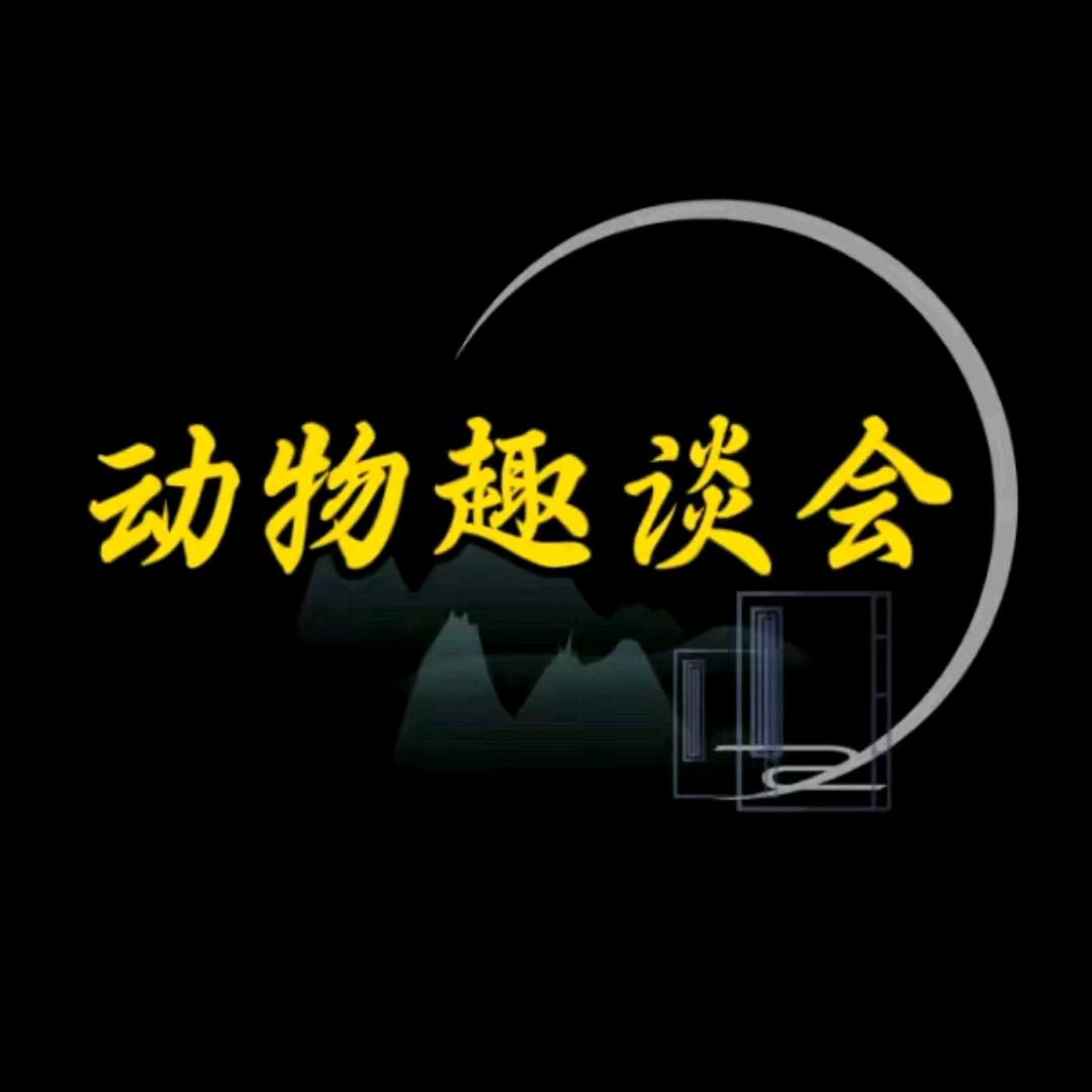 动物趣谈会