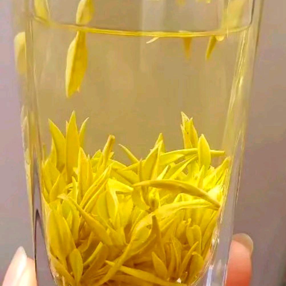人 生 如 茶