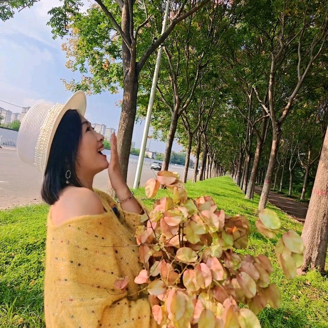 芒果爱布丁