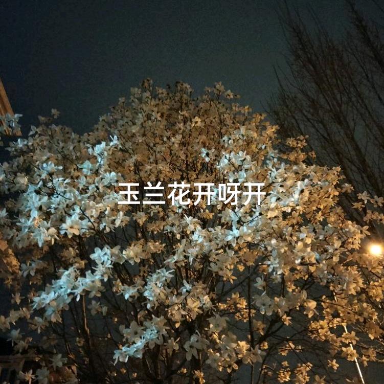 幸福快乐
