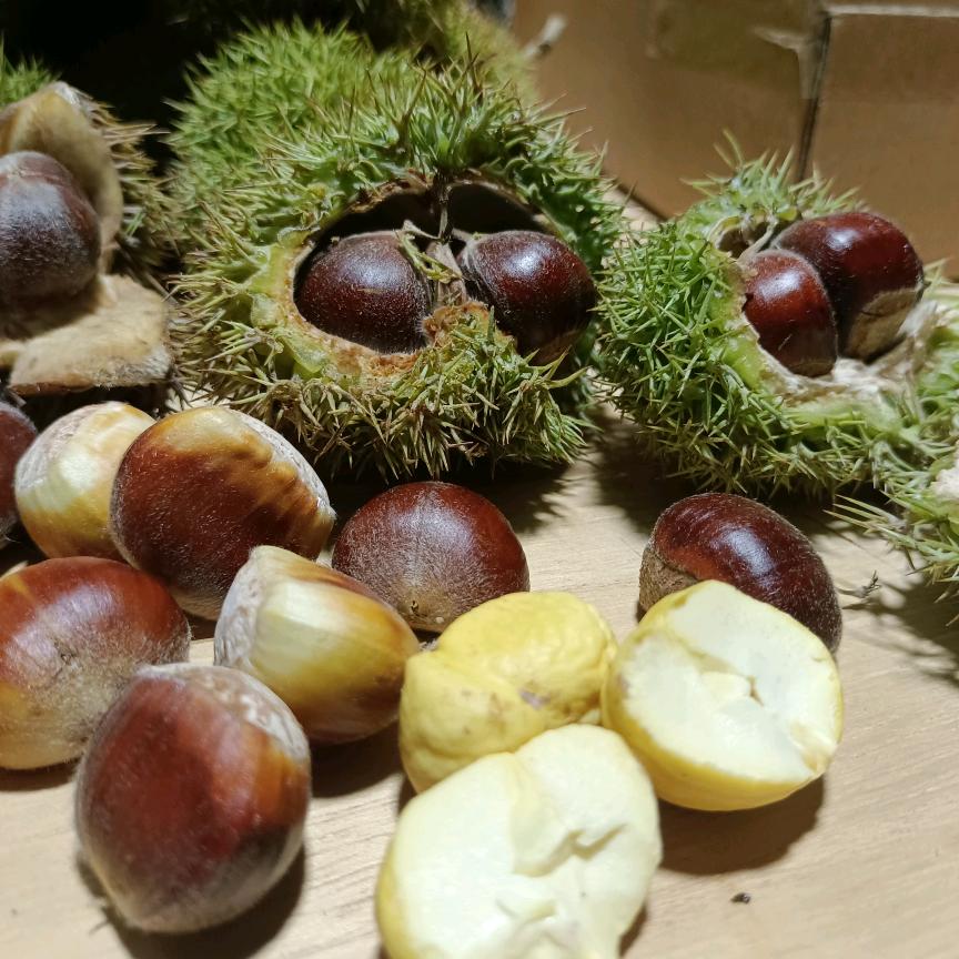 沂蒙小农产品服务