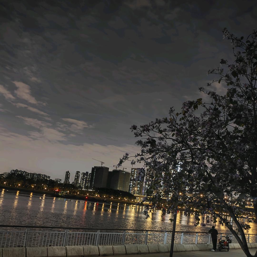 镜中月   水中光