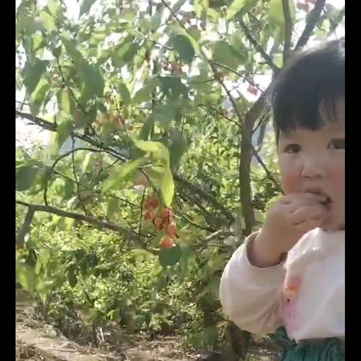 军