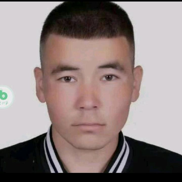 艾尔提
