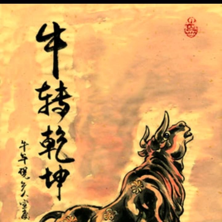 牛转乾坤