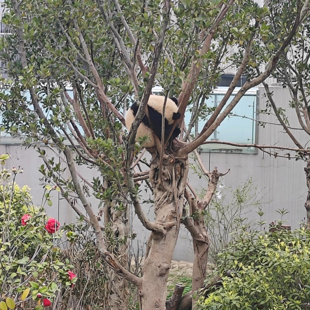 好运
