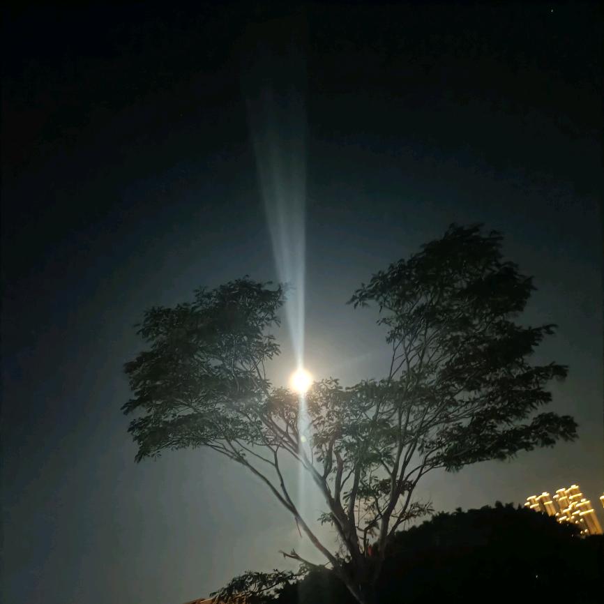 ꧔ꦿོ࿐ᩚ荣᭄ꦿᩚ٭